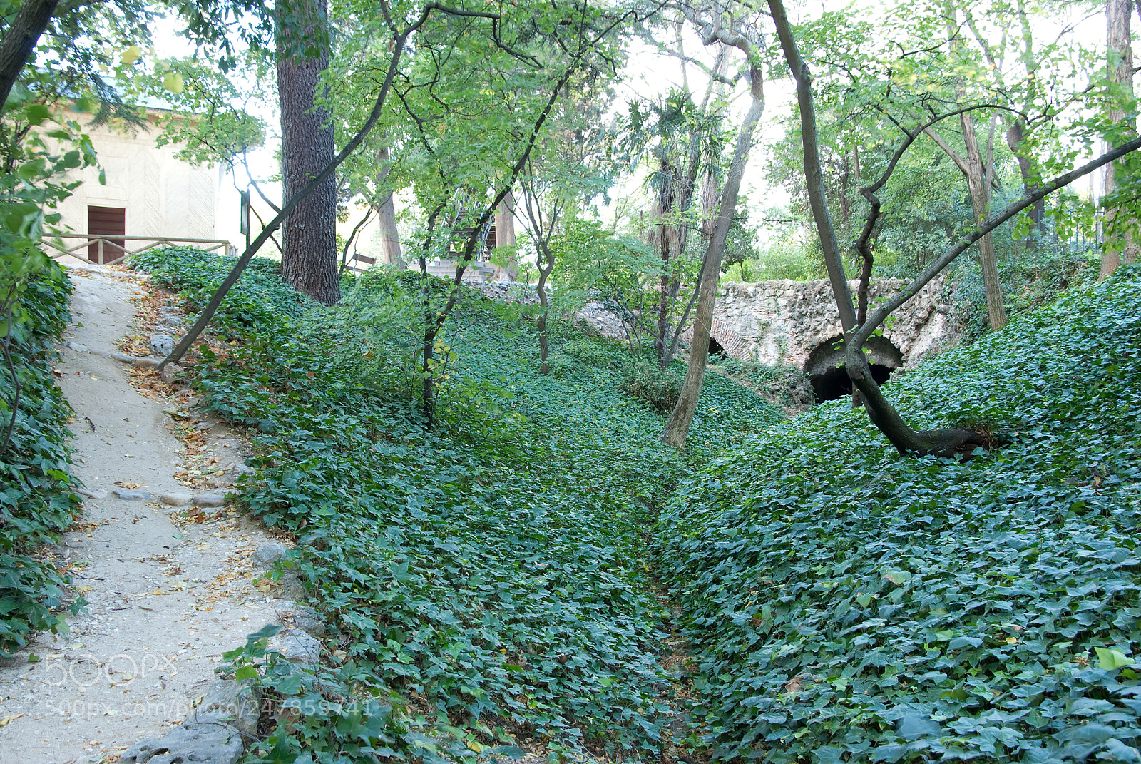 Nikon D80 sample photo. Parque el capricho photography