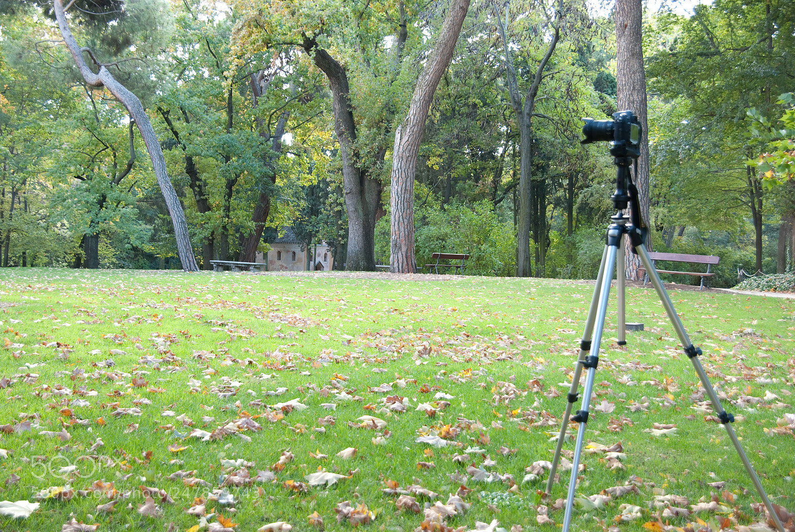 Nikon D80 sample photo. Parque el capricho photography