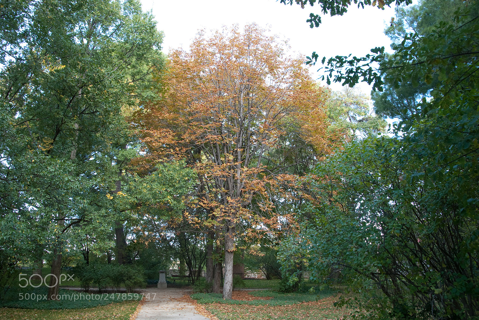 Nikon D80 sample photo. Parque el capricho photography