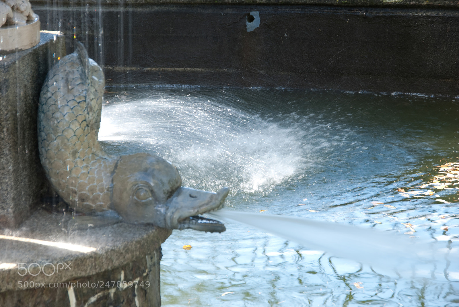 Nikon D80 sample photo. Parque el capricho photography