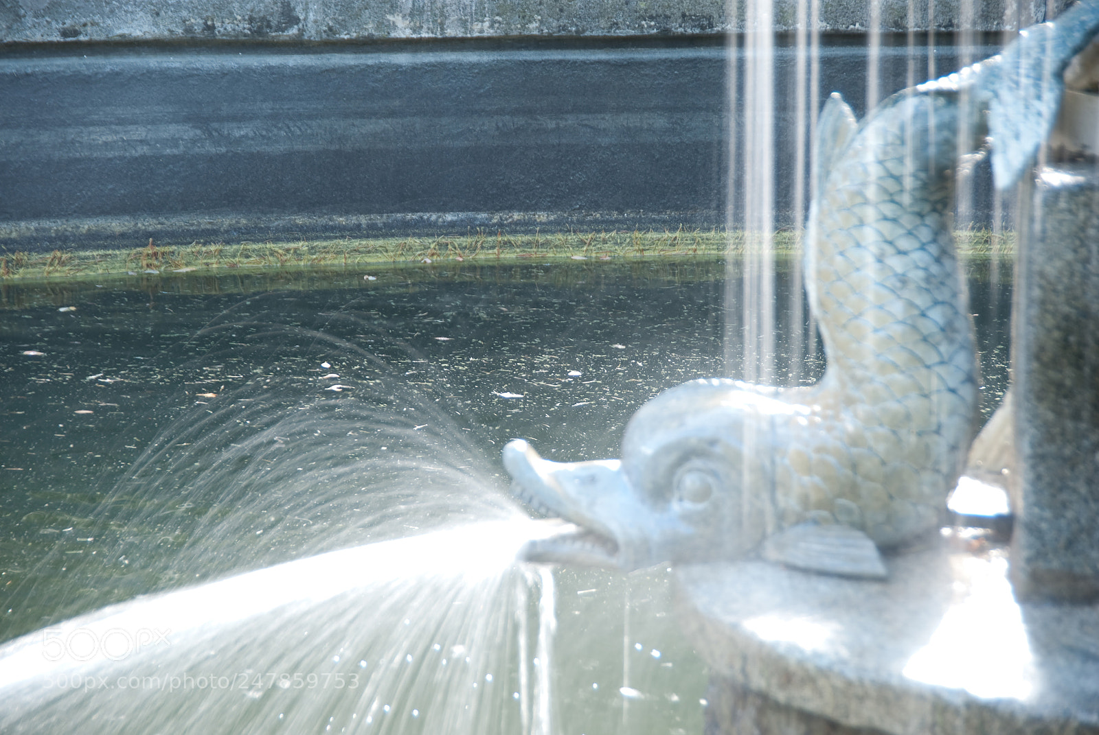 Nikon D80 sample photo. Parque el capricho photography