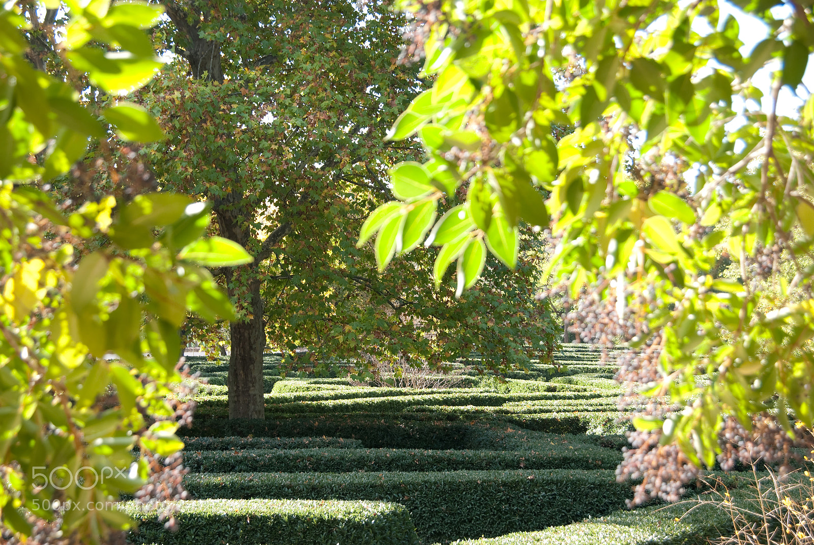 Nikon D80 sample photo. Parque el capricho photography