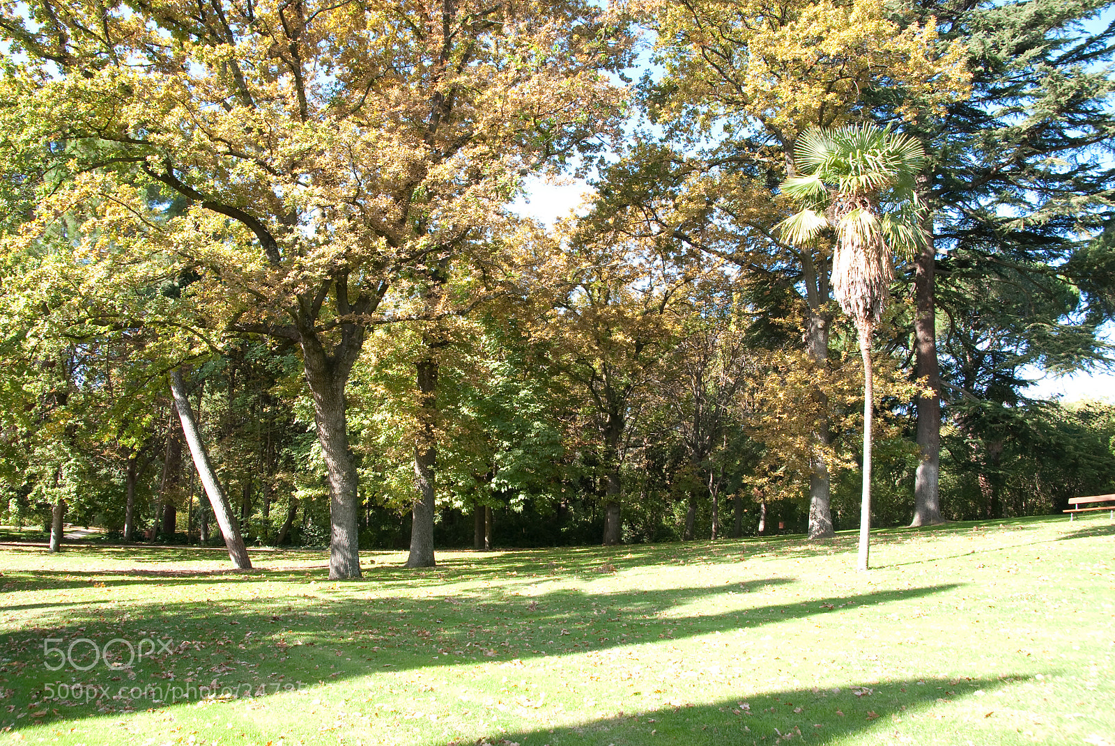 Nikon D80 sample photo. Parque el capricho photography