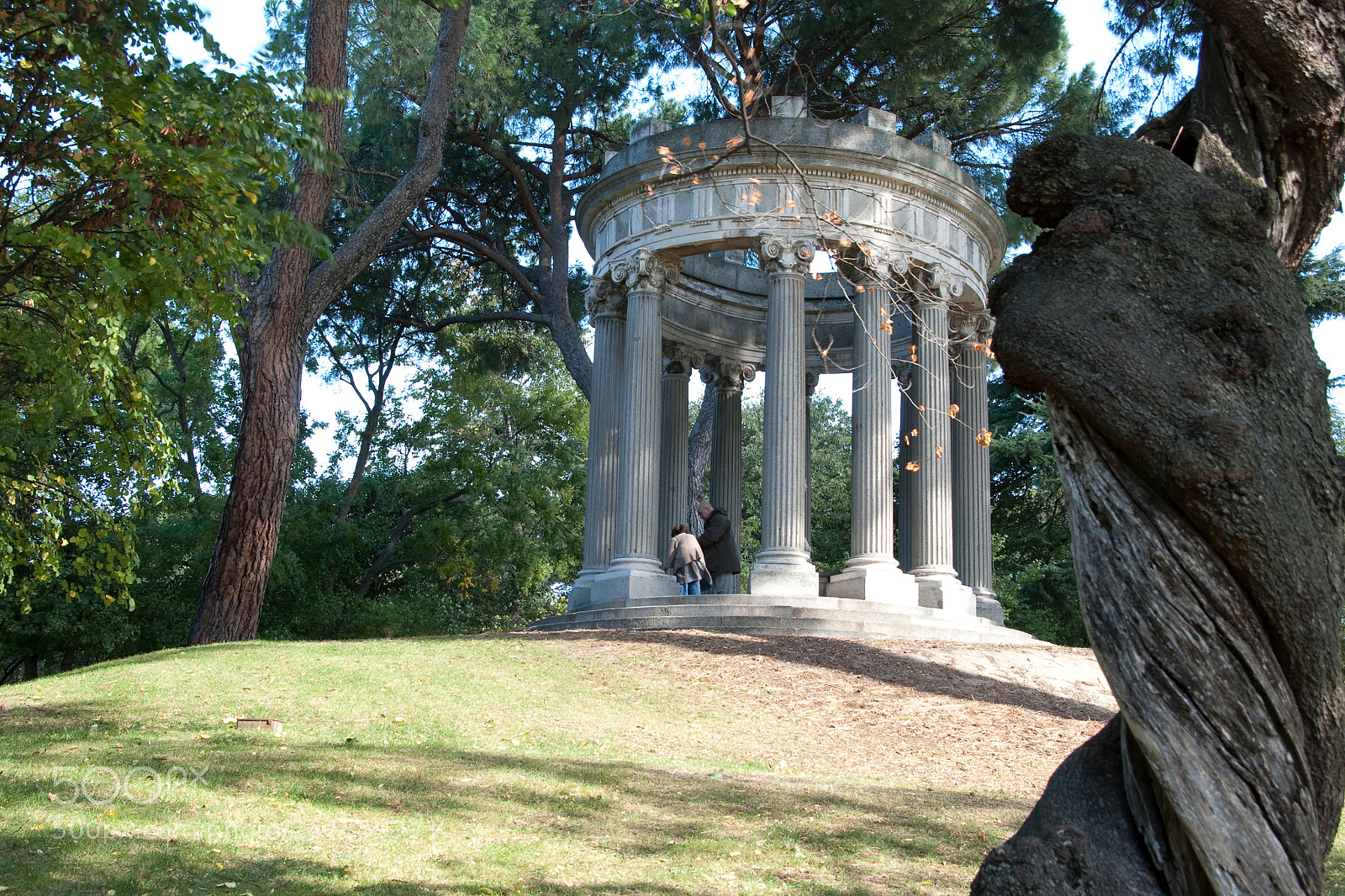 Nikon D80 sample photo. Parque el capricho photography