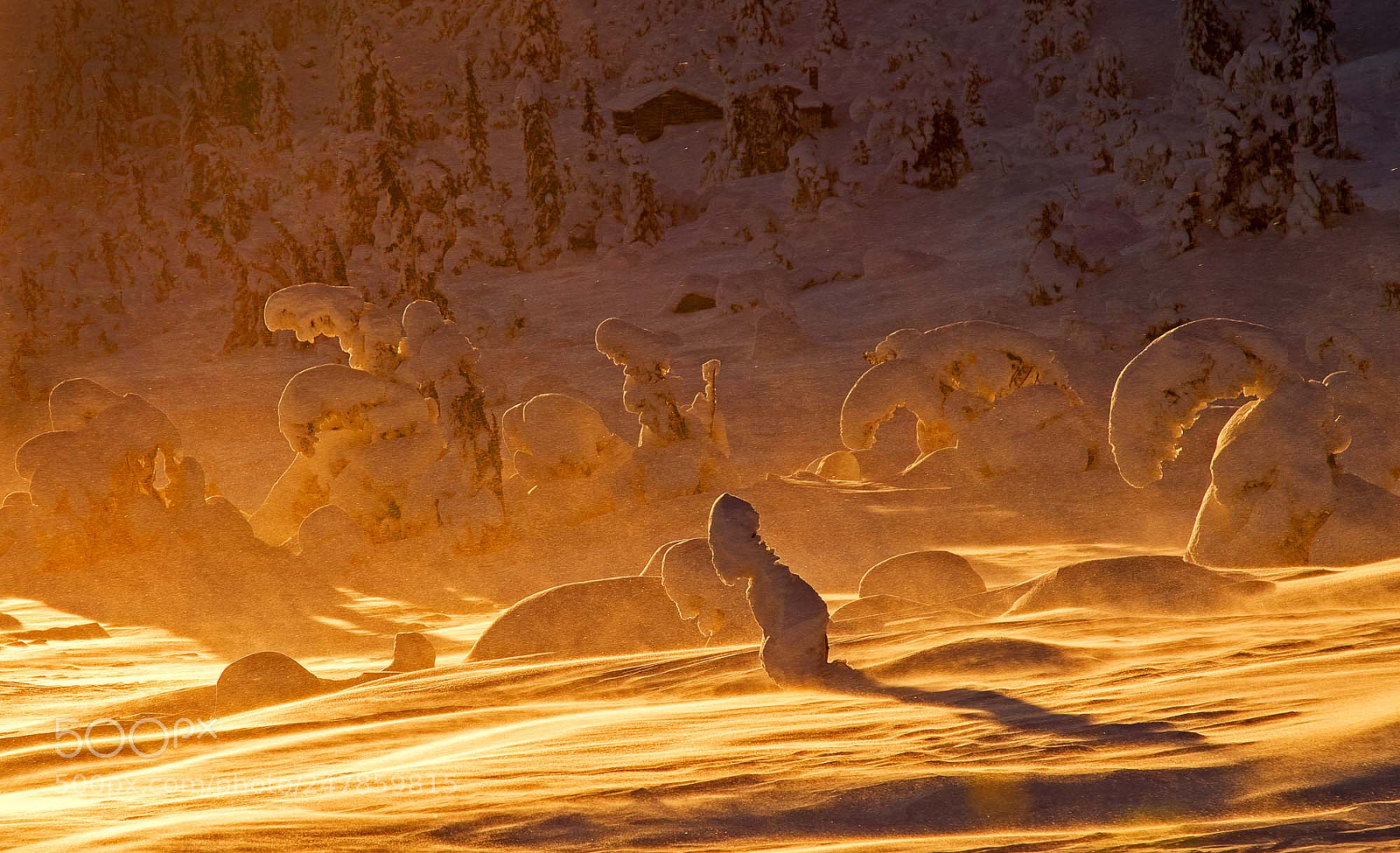 Canon EOS 7D Mark II sample photo. Winter in eggedal, norway photography