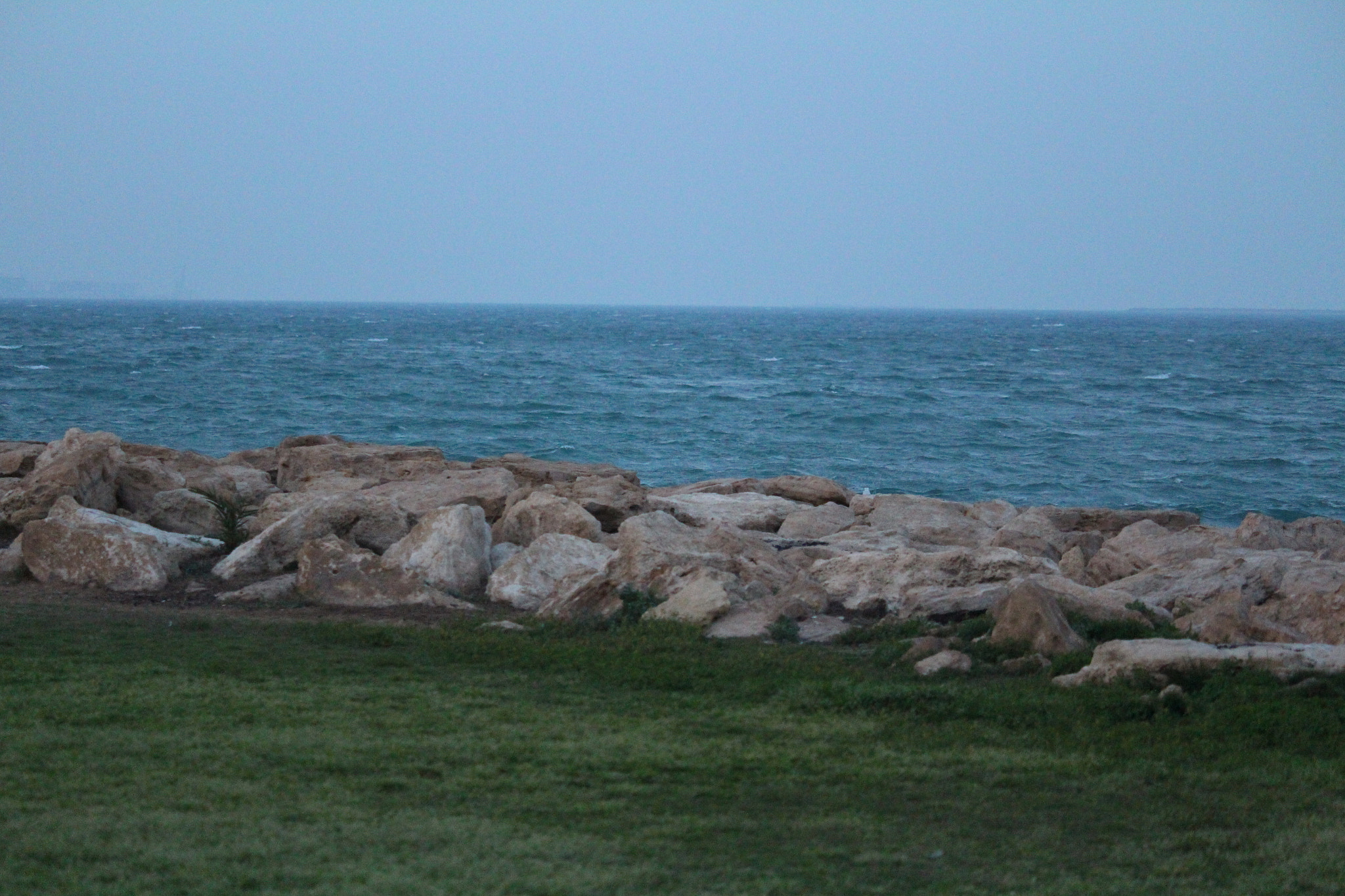 Canon EF-S 55-250mm F4-5.6 IS STM sample photo. Silence photography