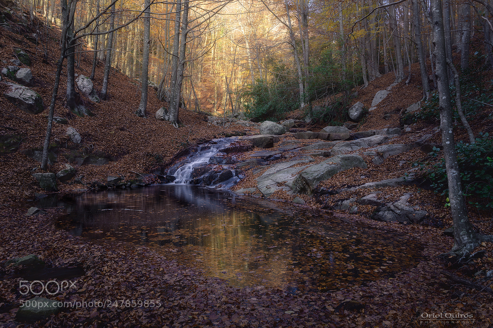 Nikon D7100 sample photo. Autumn montsney photography