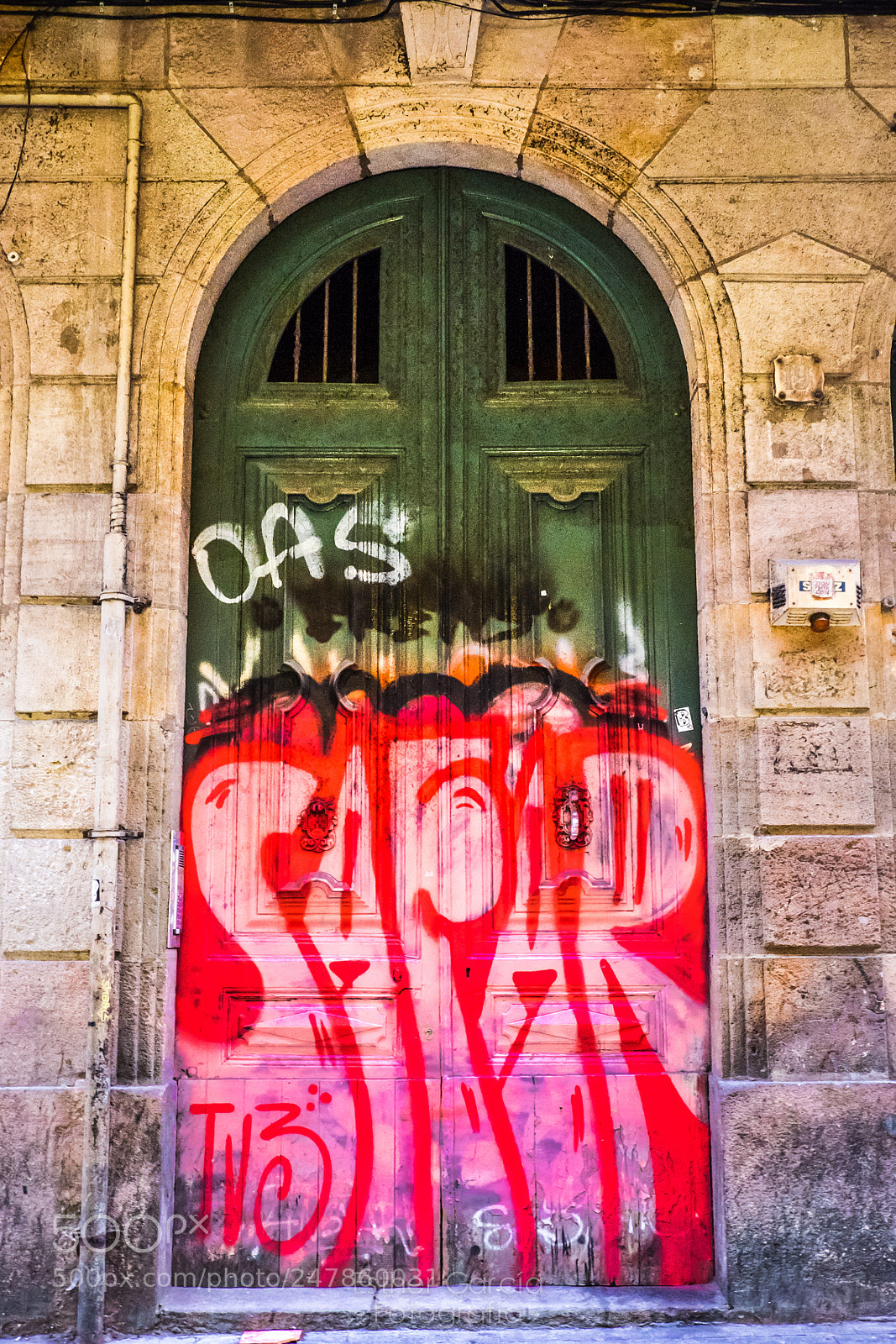 Fujifilm X-T1 sample photo. Camouflaged door photography