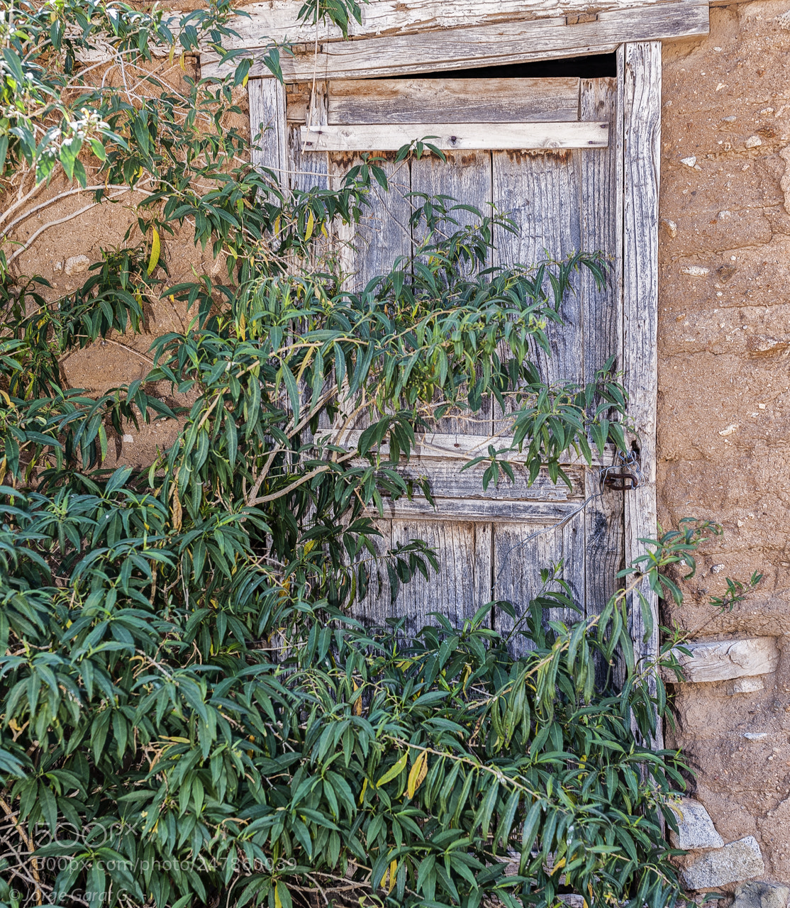 Nikon D700 sample photo. The door that was. photography