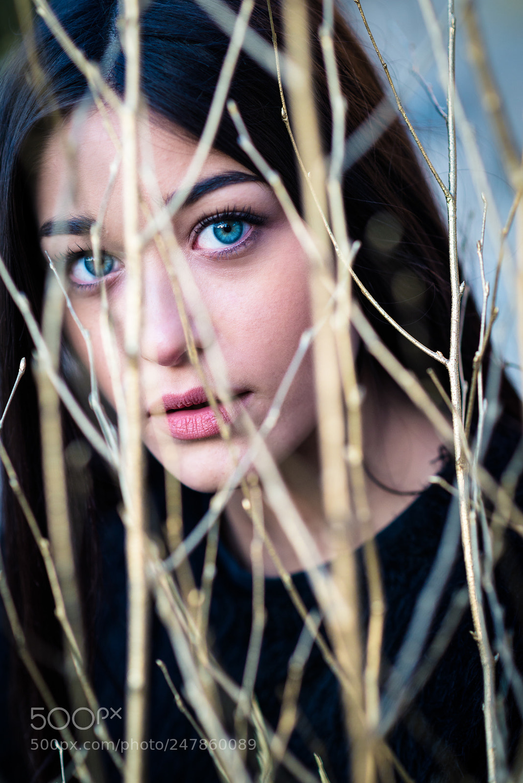 Nikon D610 sample photo. Hide in yellow photography