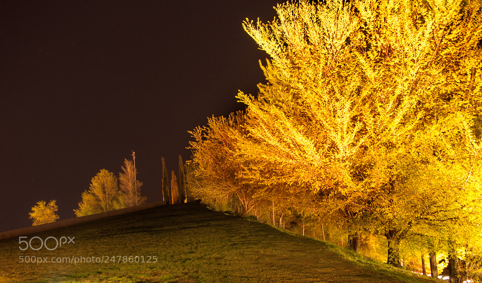 Nikon D300S sample photo. Parque juan carlos i photography