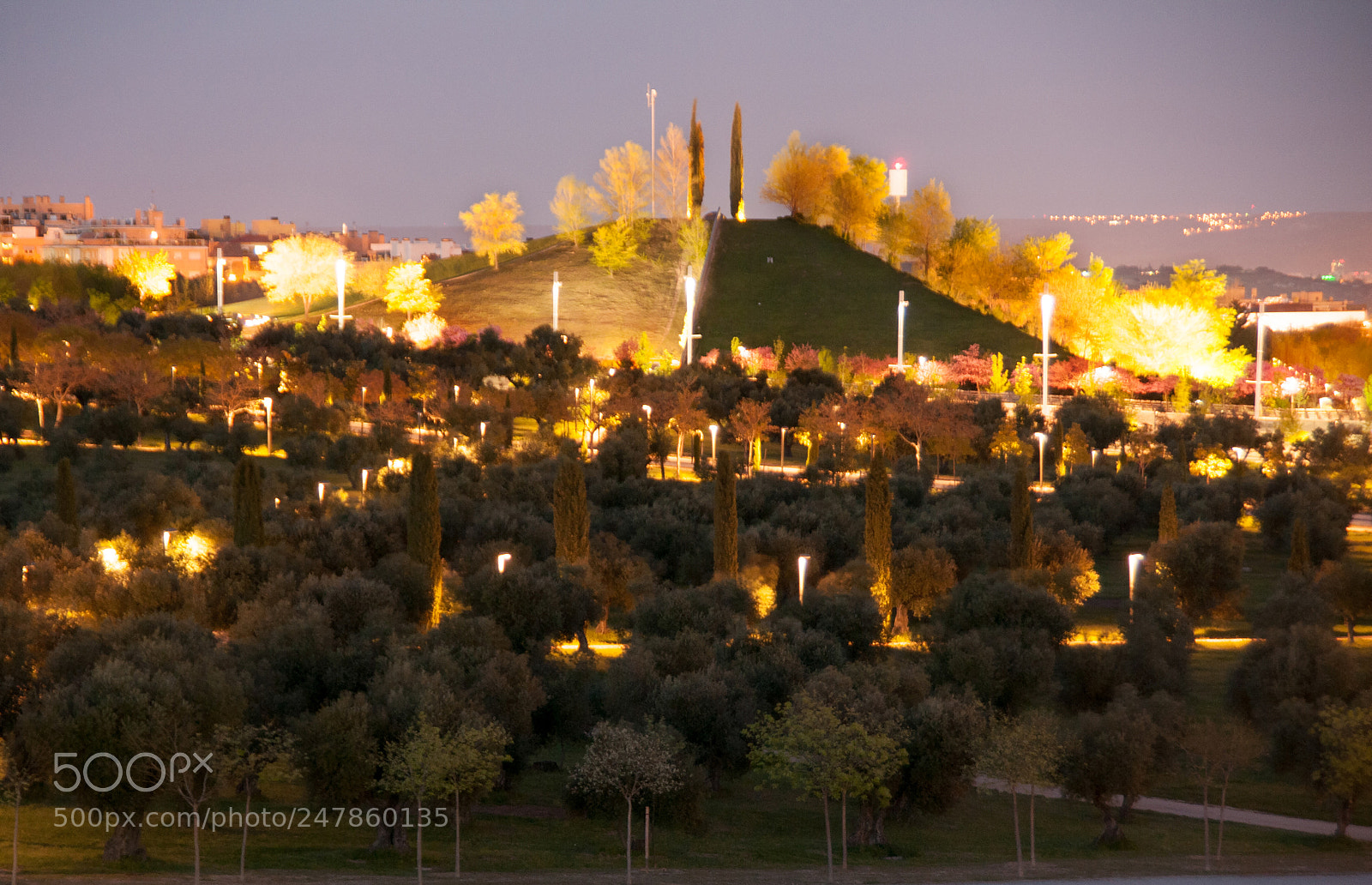 Nikon D300S sample photo. Parque juan carlos i photography