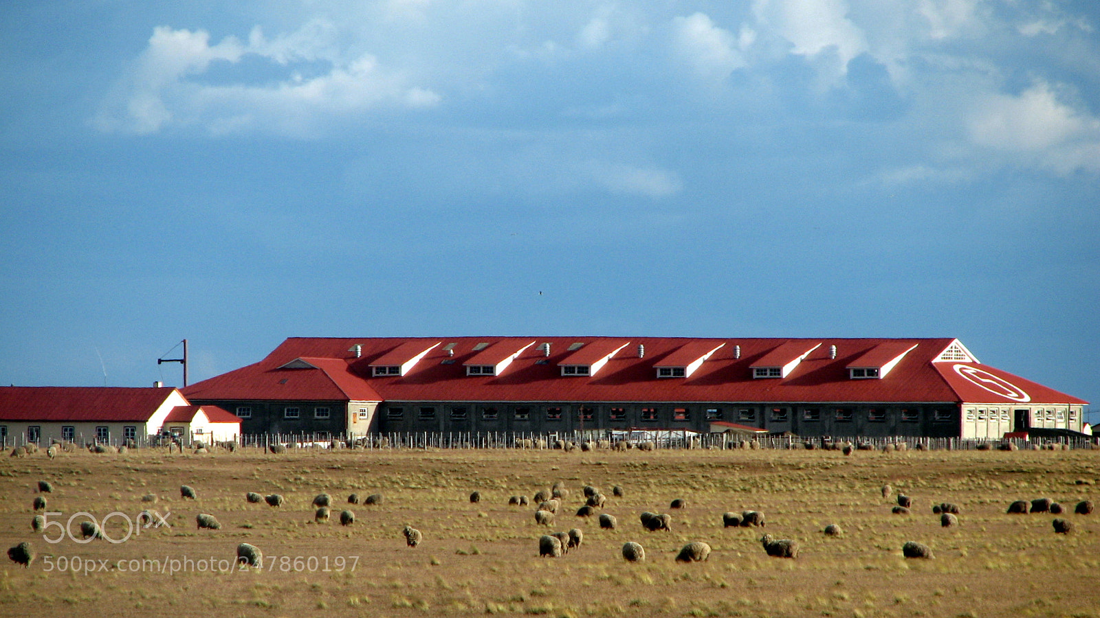Canon POWERSHOT S3 IS sample photo. Estancia sara photography