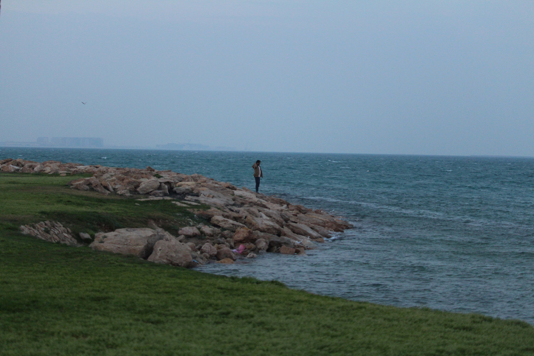 Canon EF-S 55-250mm F4-5.6 IS STM sample photo. Gulf shore photography