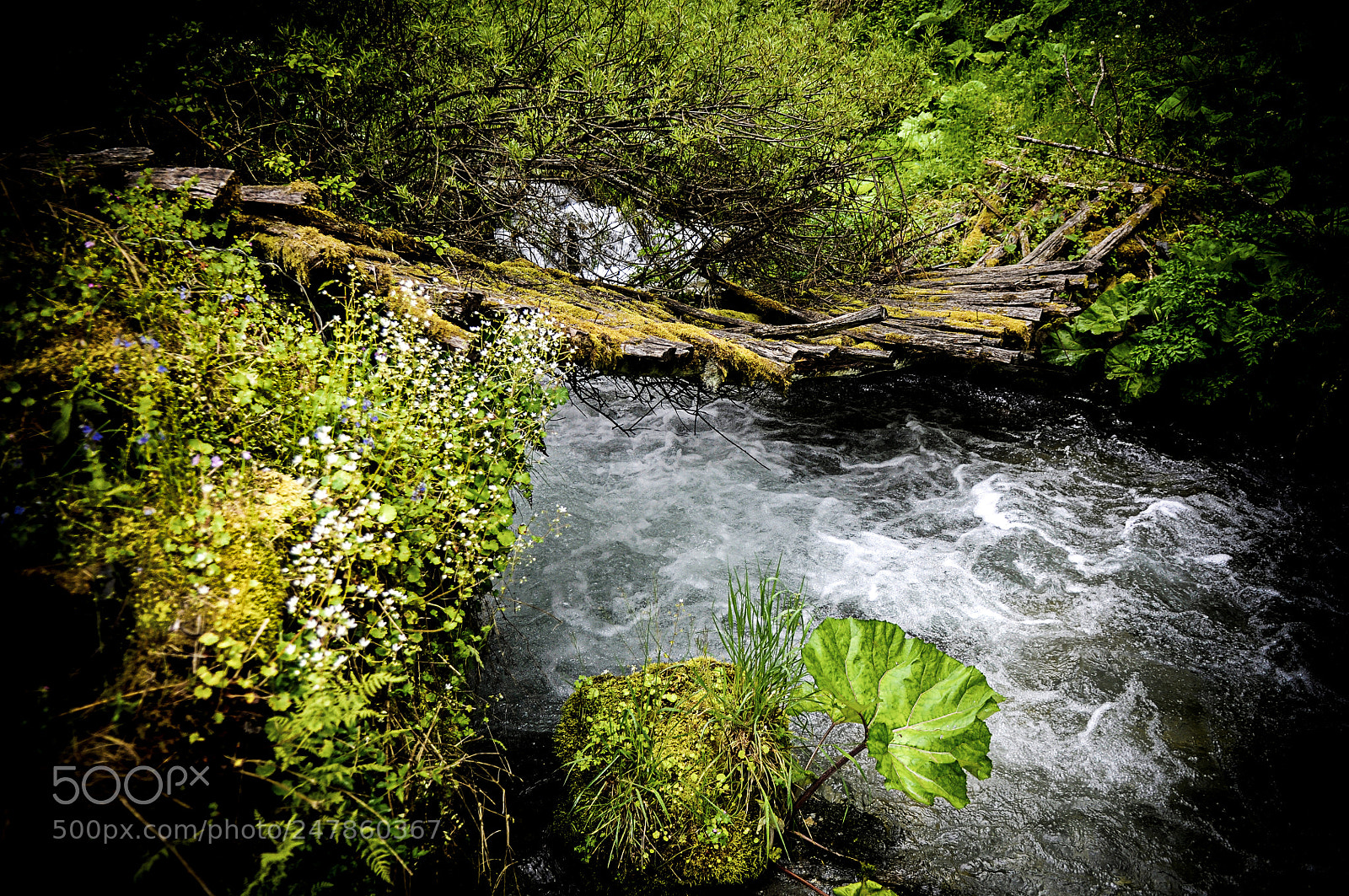 Nikon D5000 sample photo. Wooden bridge photography