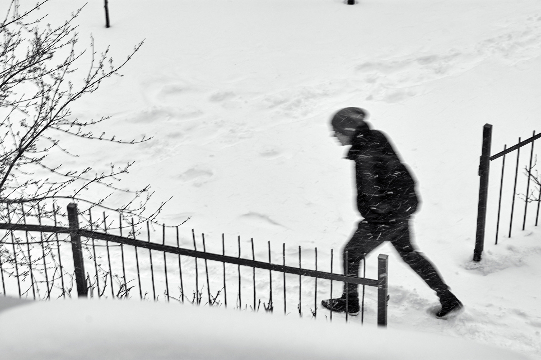 Nikon D7100 sample photo. Walking in blizzard photography