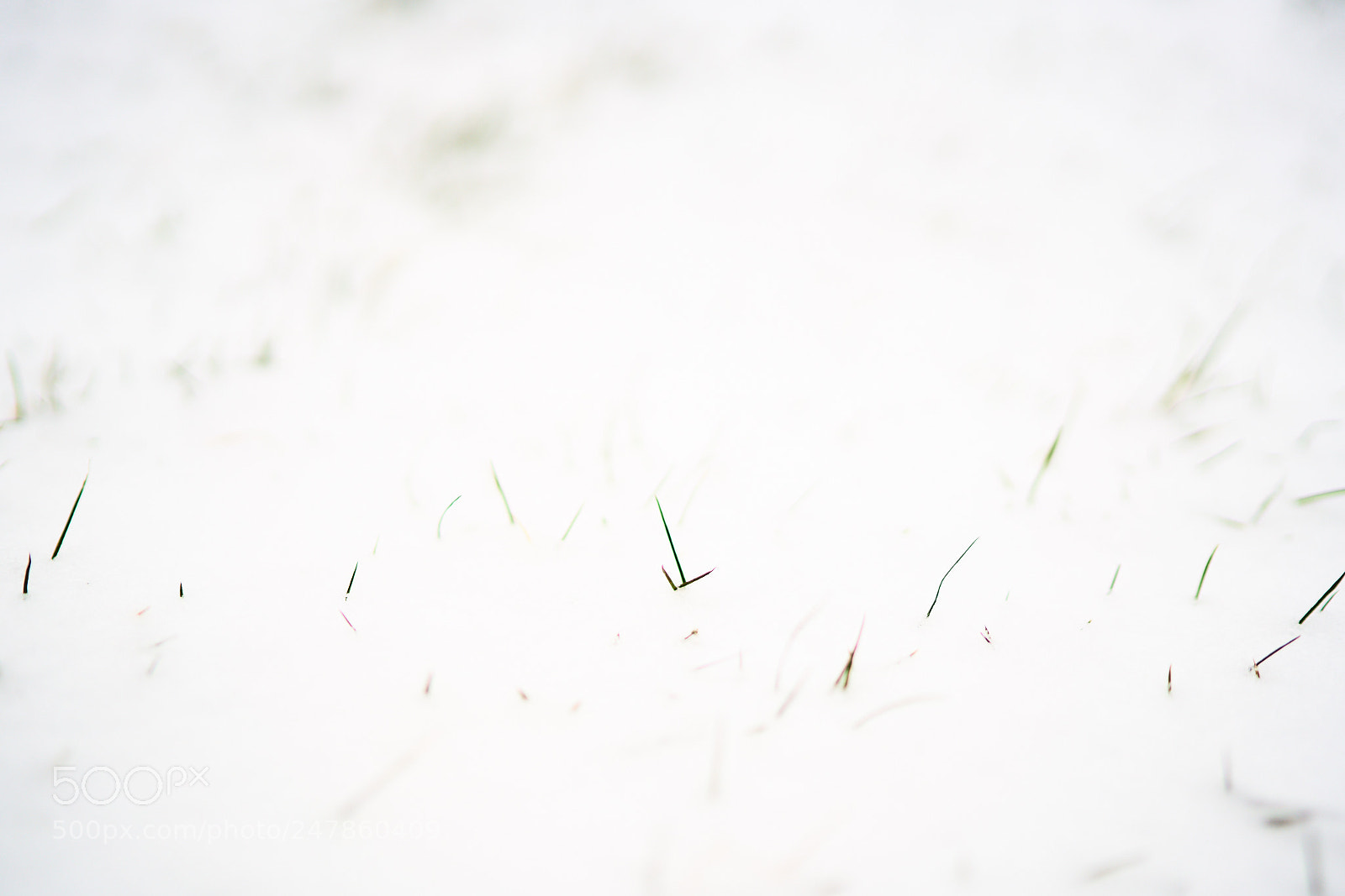 Sony a7R II sample photo. Day sixty photography