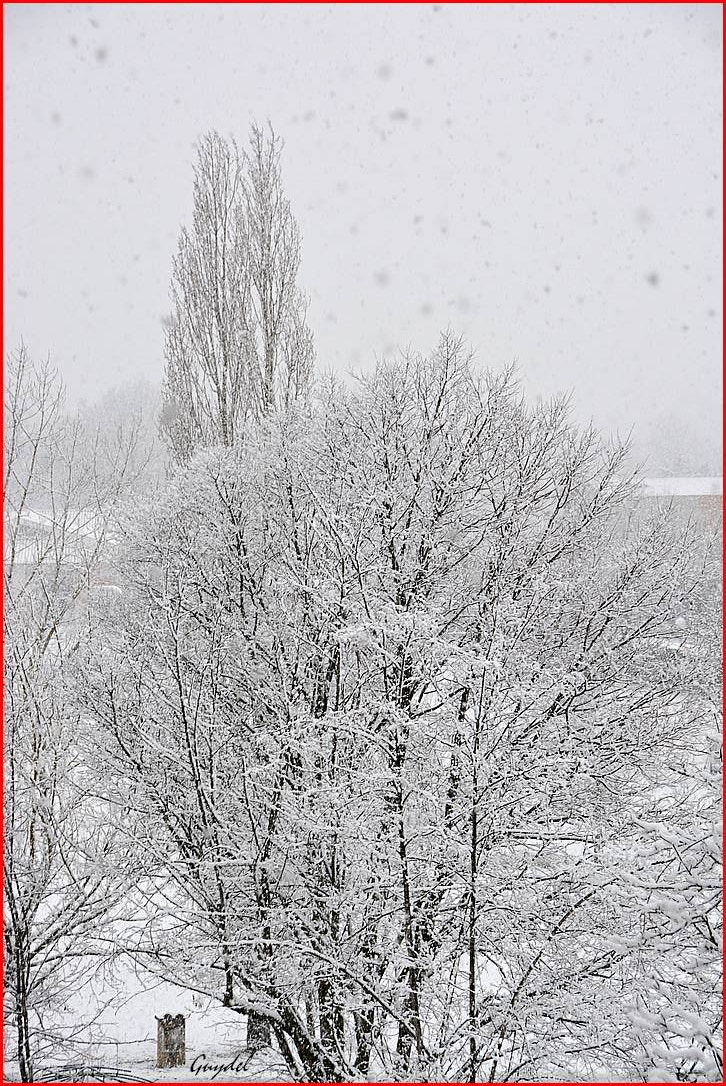 Nikon D5200 sample photo. South of france (var) at the end of february ! photography