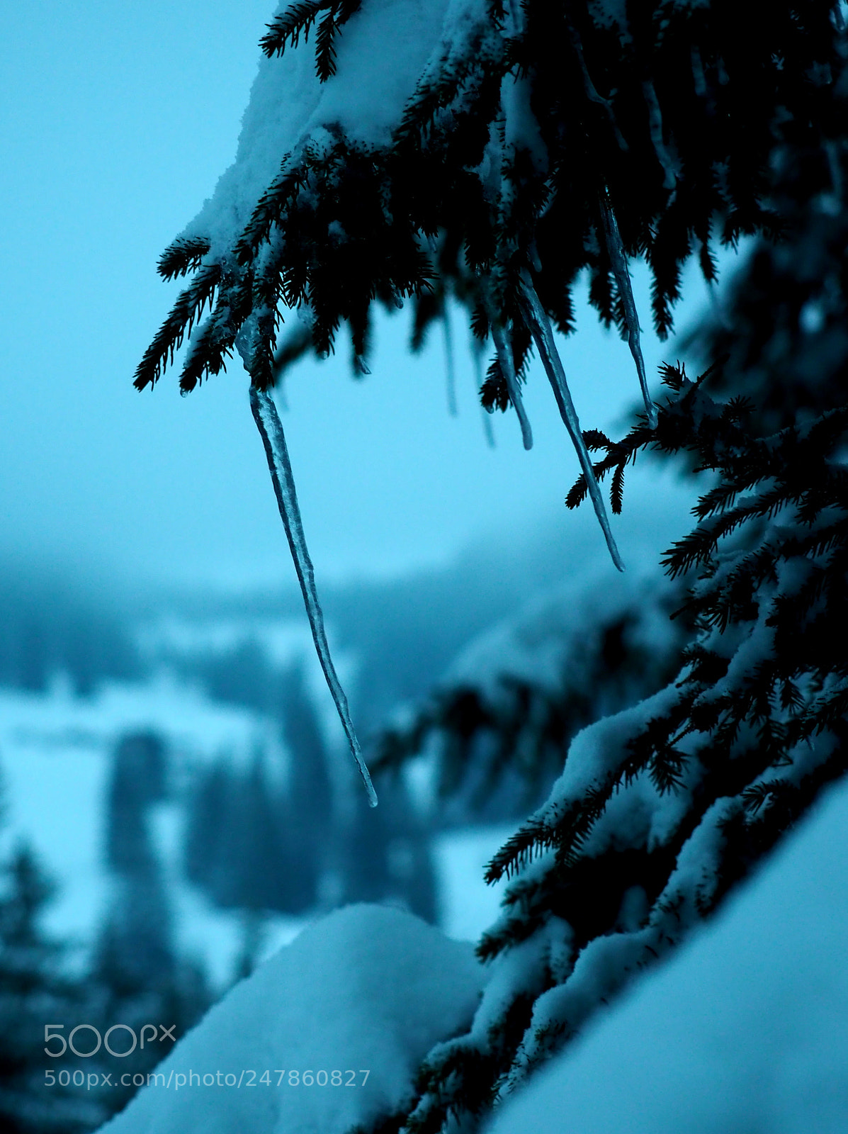 Olympus OM-D E-M1 Mark II sample photo. Schwerkraft ausgetrickst photography