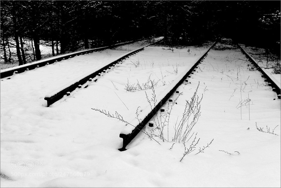 Nikon D610 sample photo. The beginning of a photography