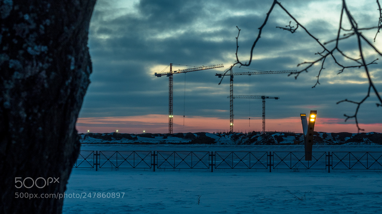 Olympus OM-D E-M5 II sample photo. The cranes 2 photography