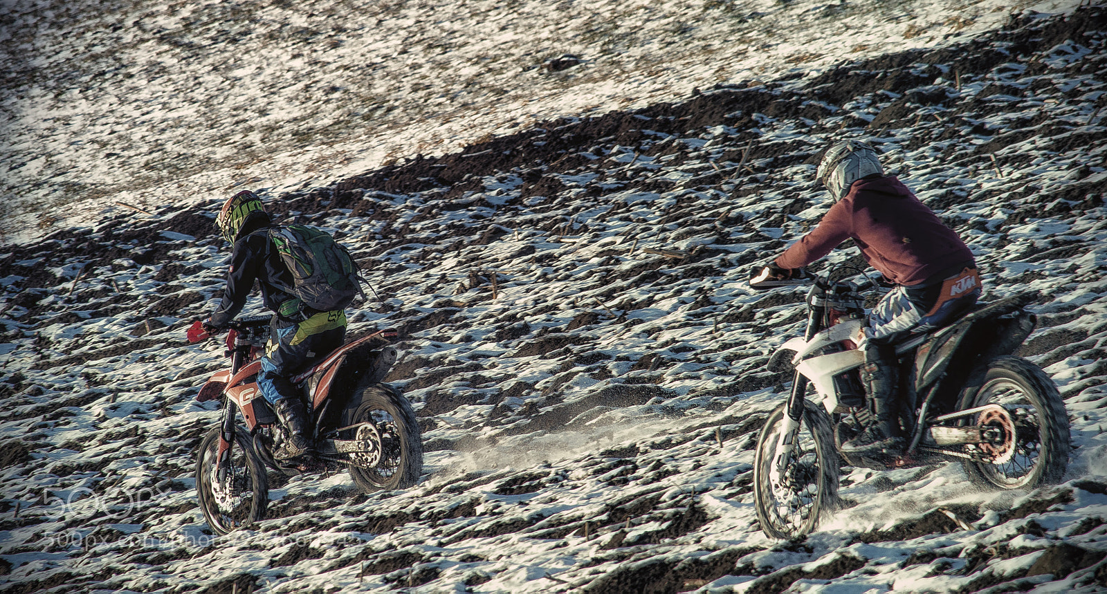 Nikon D7100 sample photo. Tough guys photography