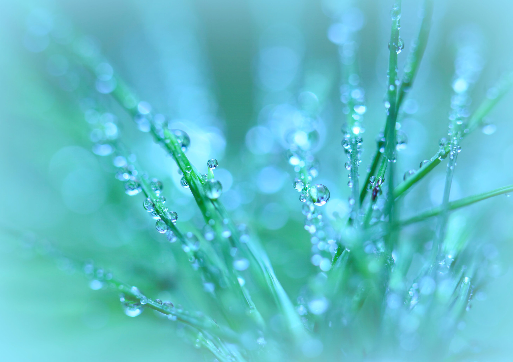 sparkle-in-the-morning-sun-by-hiroshi-araki-500px