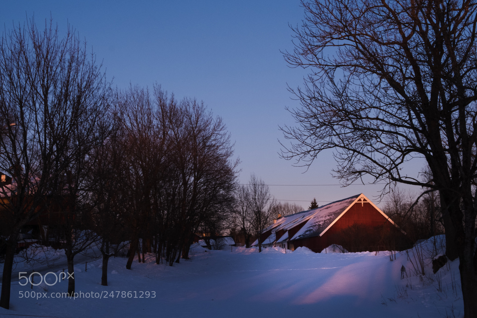 Fujifilm X-T20 sample photo. Untitled photography