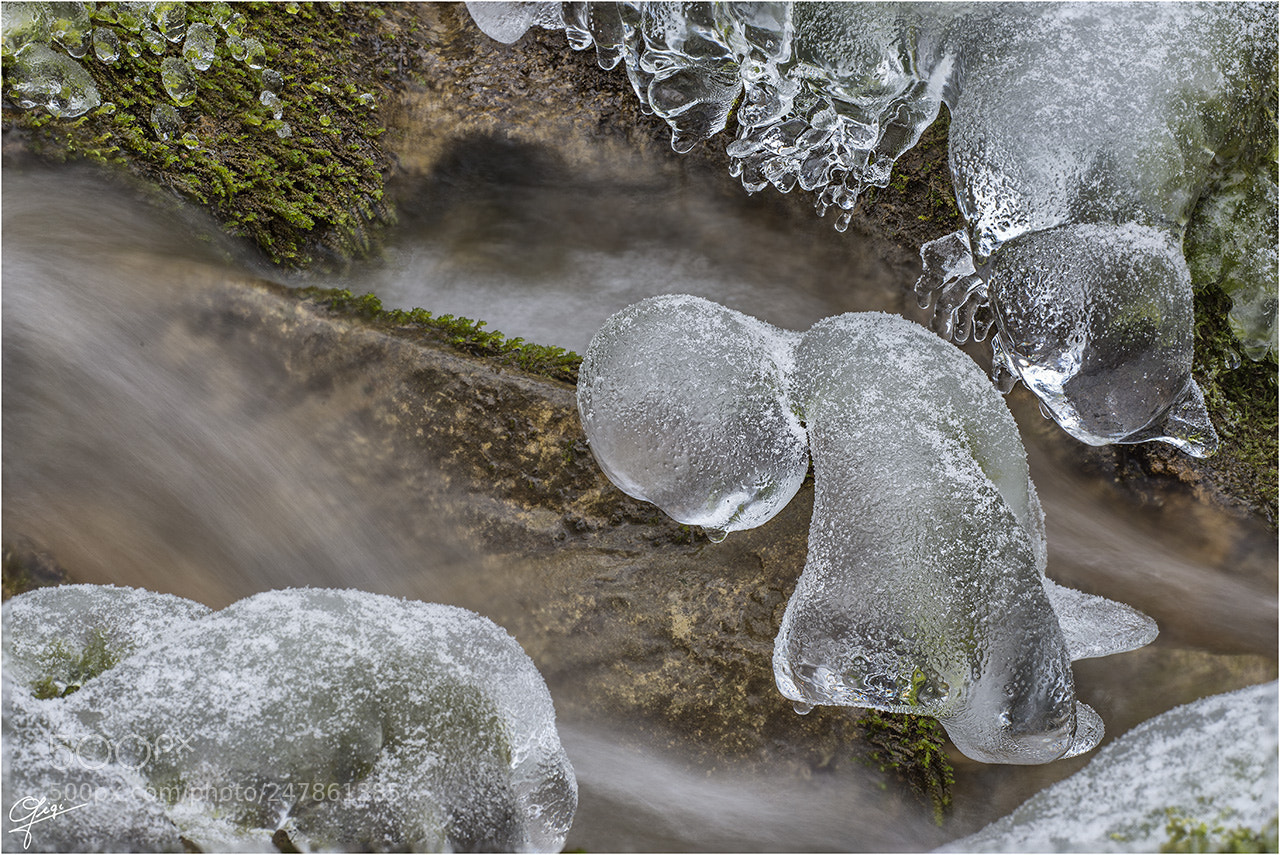 Nikon D610 sample photo. Water, ice and snow photography