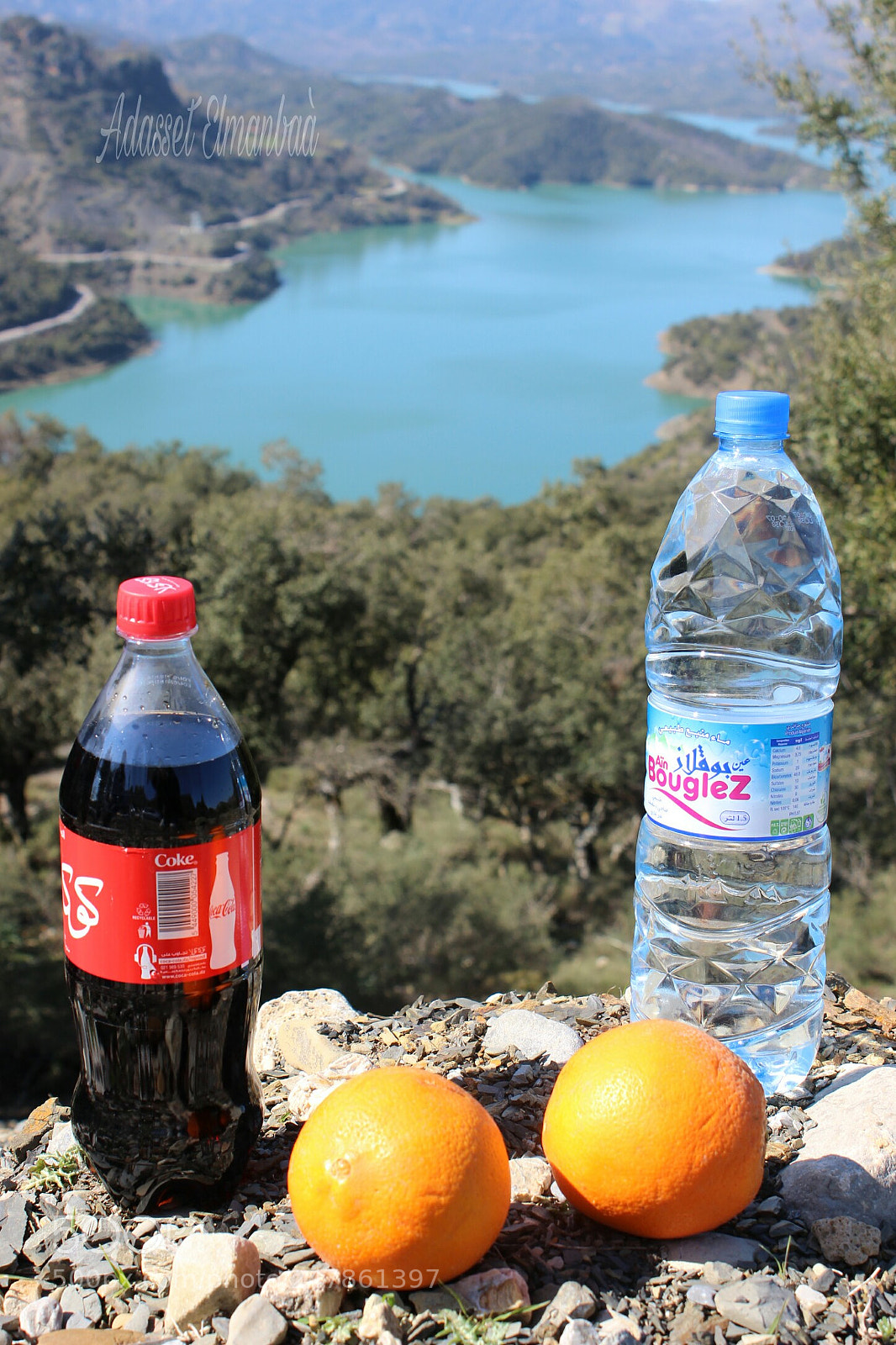 Canon EOS 600D (Rebel EOS T3i / EOS Kiss X5) sample photo. Avec mon ami photography