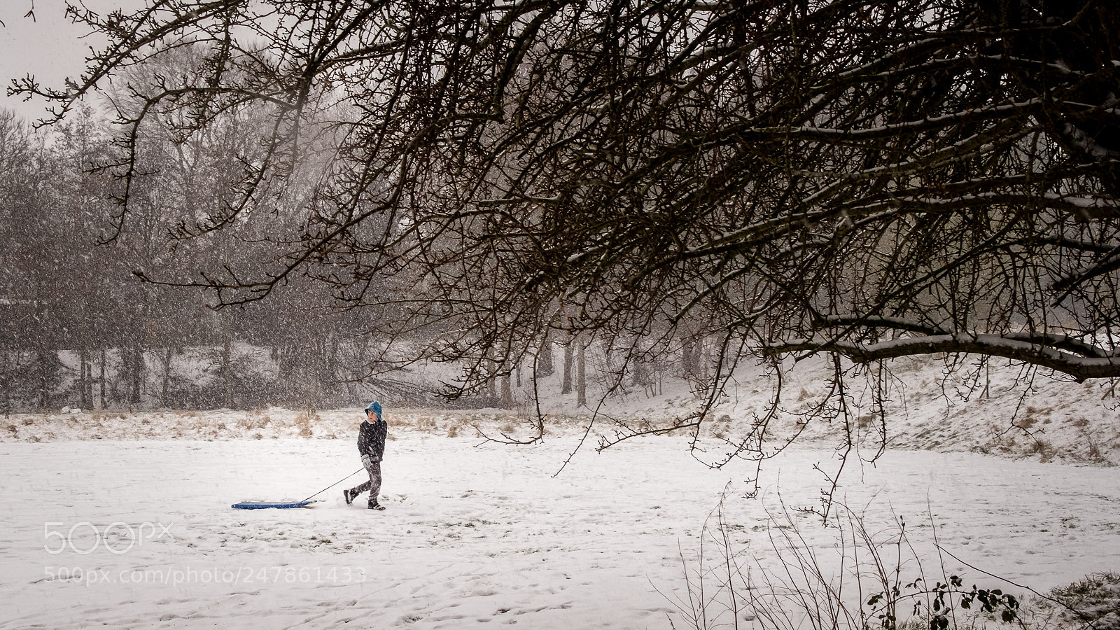 Fujifilm X-Pro2 sample photo. Snow day photography