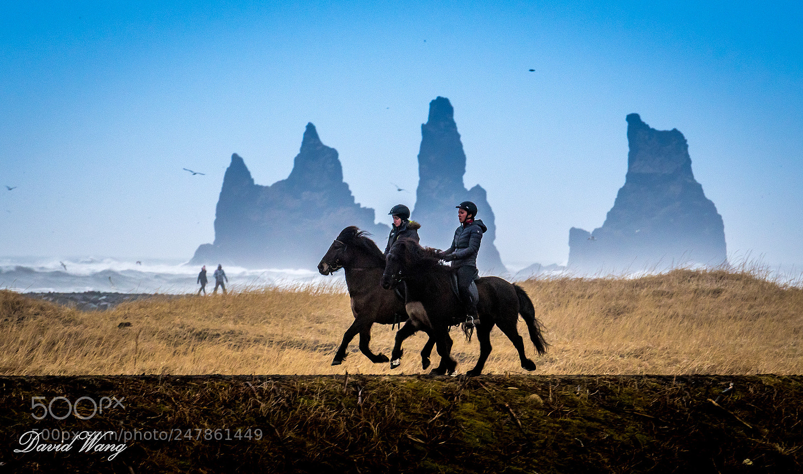 Nikon D500 sample photo. Black beach at iceland photography