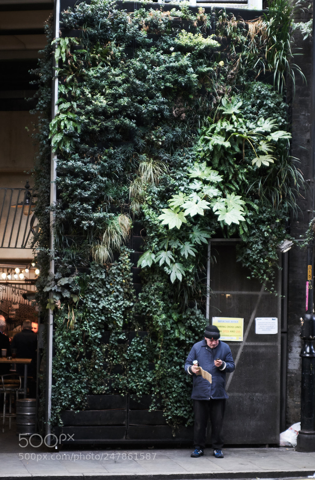 Sony a7R II sample photo. Green borough market photography