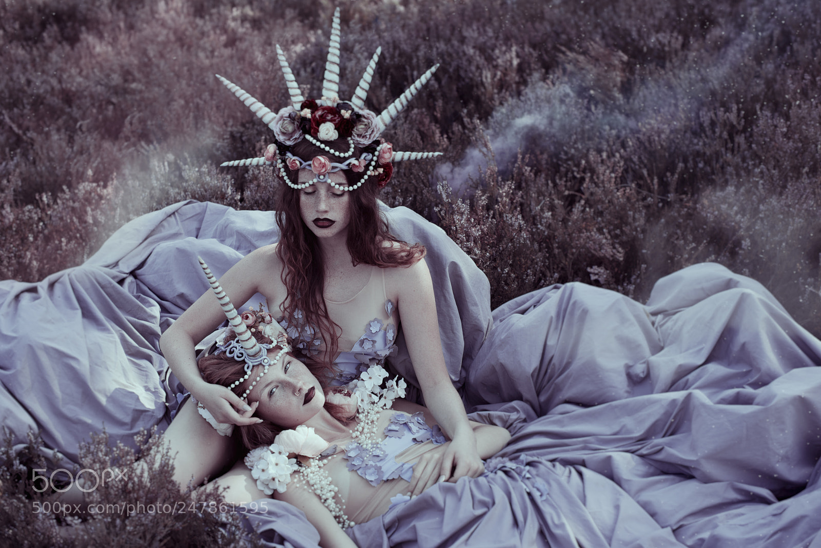 Nikon D800 sample photo. Unicorns photography