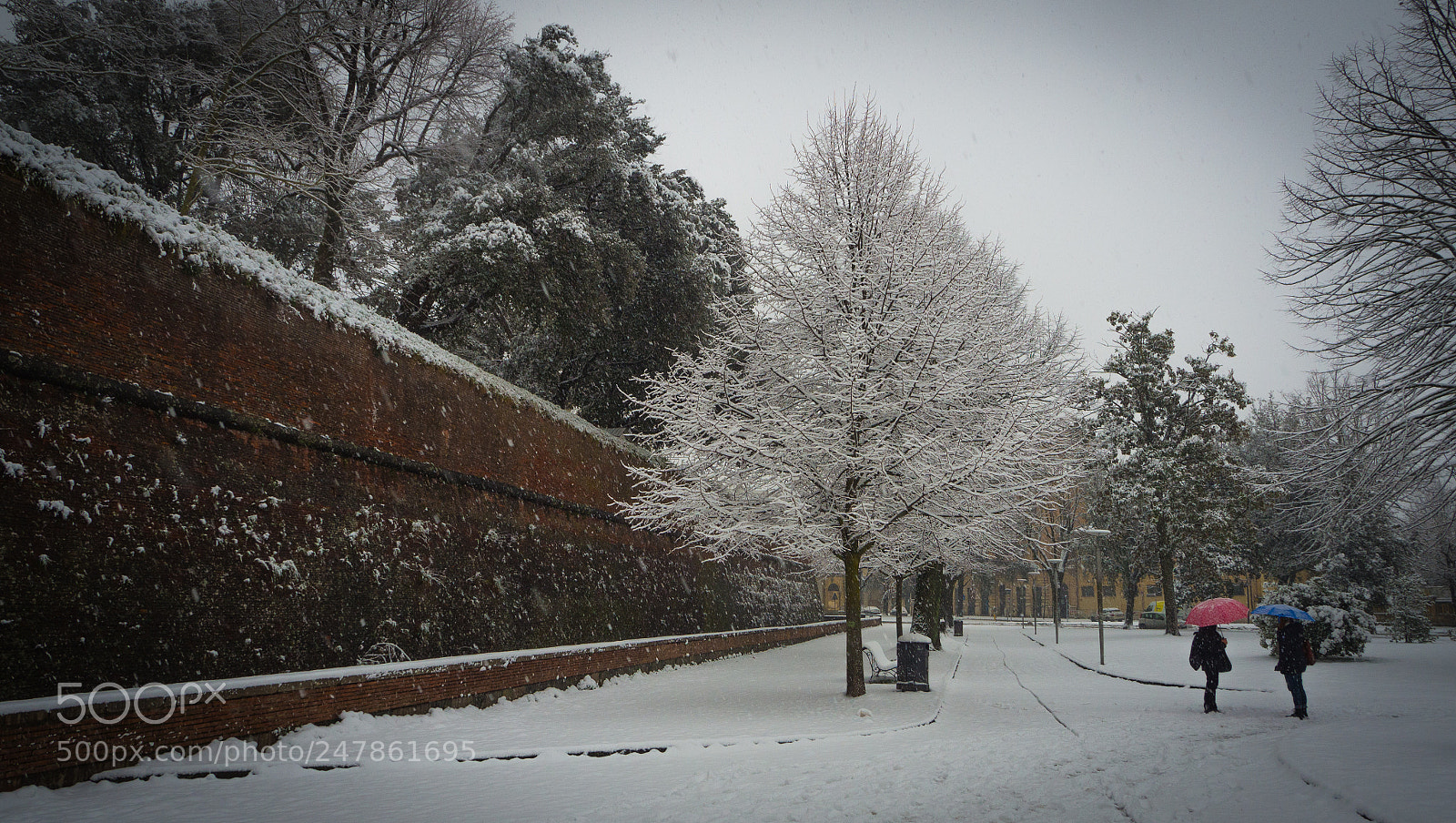 Olympus OM-D E-M10 sample photo. Chattering under the snowfall photography