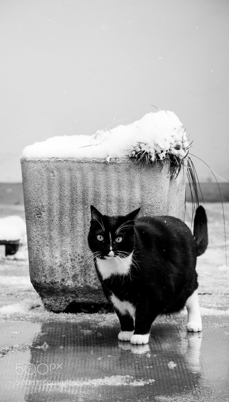 Nikon D5500 sample photo. Untitled photography