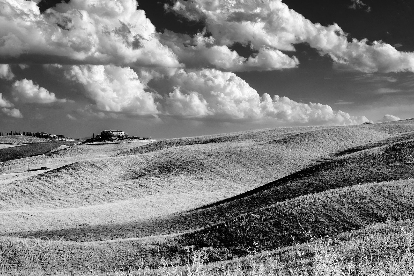 Fujifilm X-T2 sample photo. Summer landscape near asciano photography