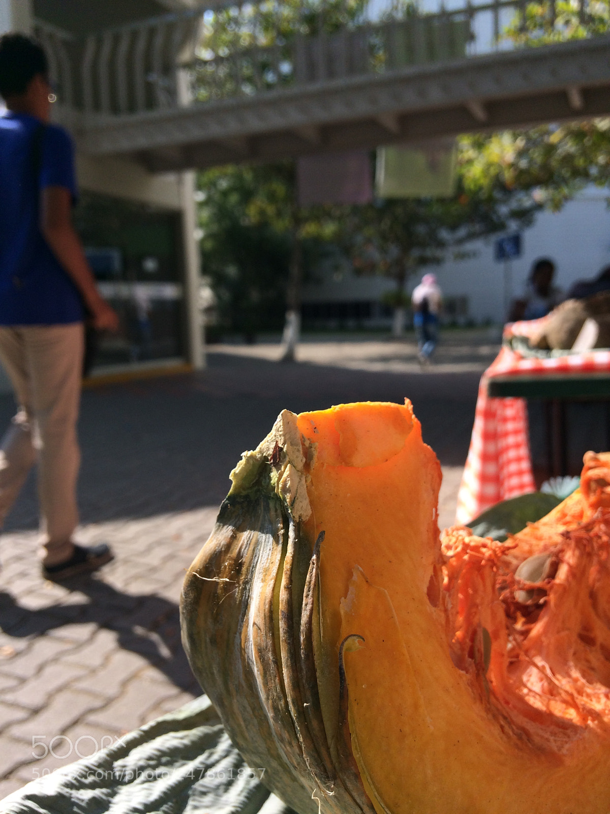Apple iPhone 5s sample photo. Foto 3 photography