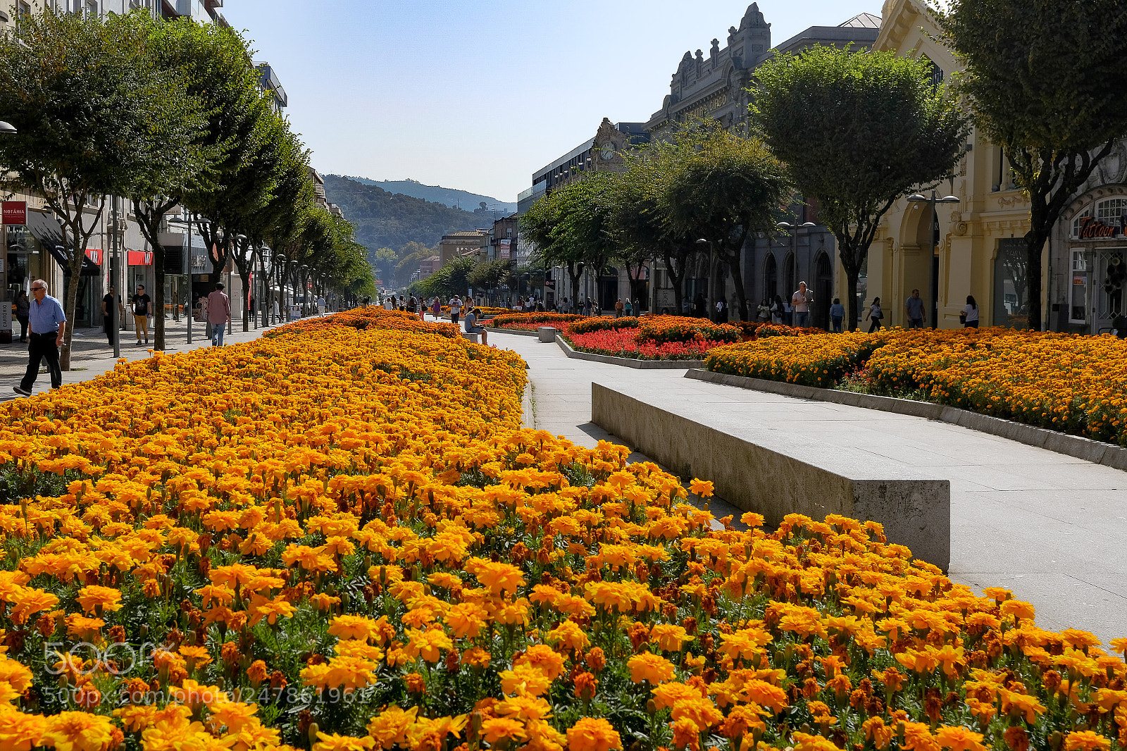 Fujifilm X-T20 sample photo. Gardens of portucale photography