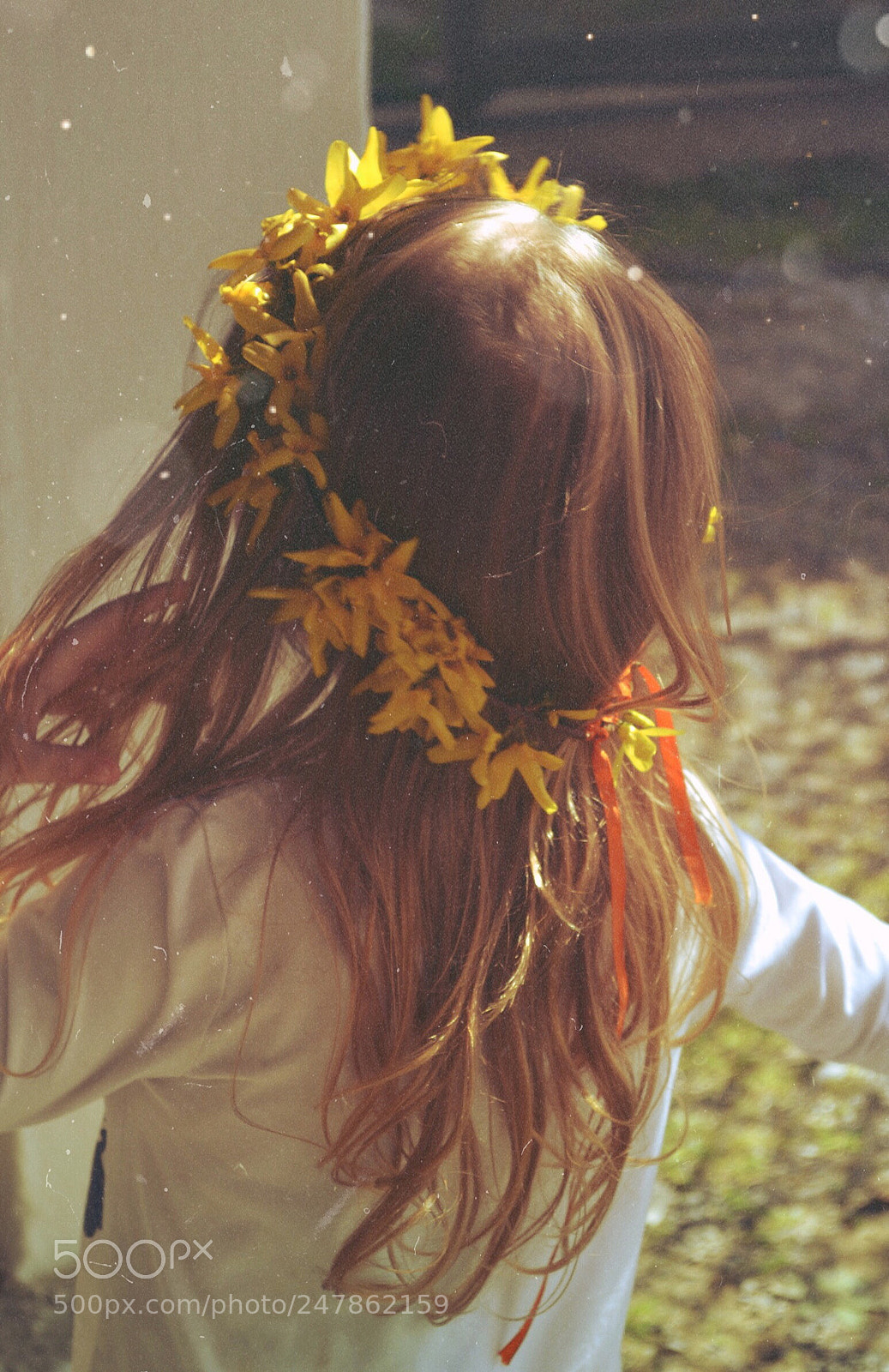 Nikon D3100 sample photo. "spring".. photography