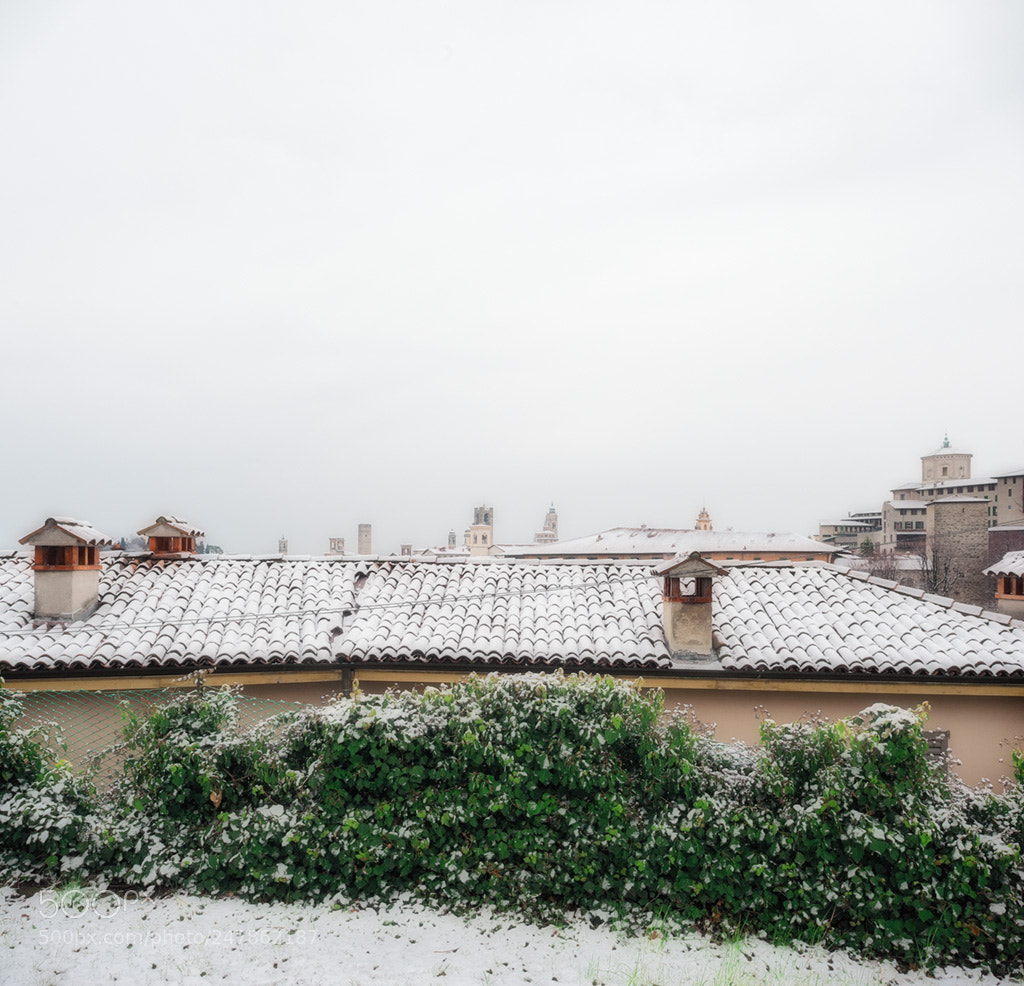 Nikon D700 sample photo. Snow photography