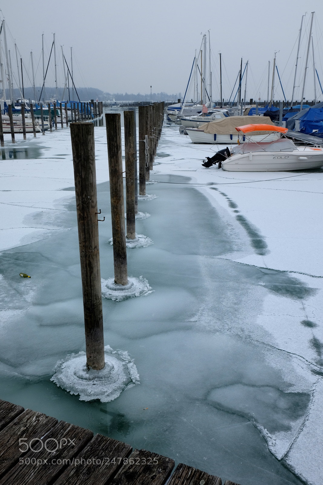 Fujifilm X-E2 sample photo. Frozen haven photography
