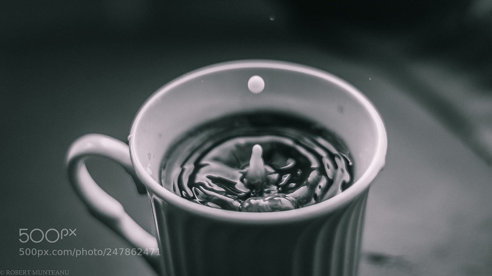 Nikon D3100 sample photo. Untitled photography