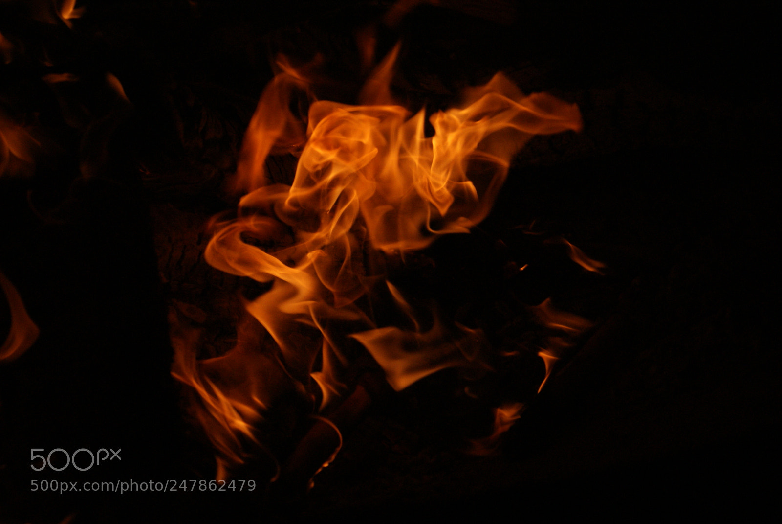 Sony DT 18-70mm F3.5-5.6 sample photo. 6796300805.jpg photography