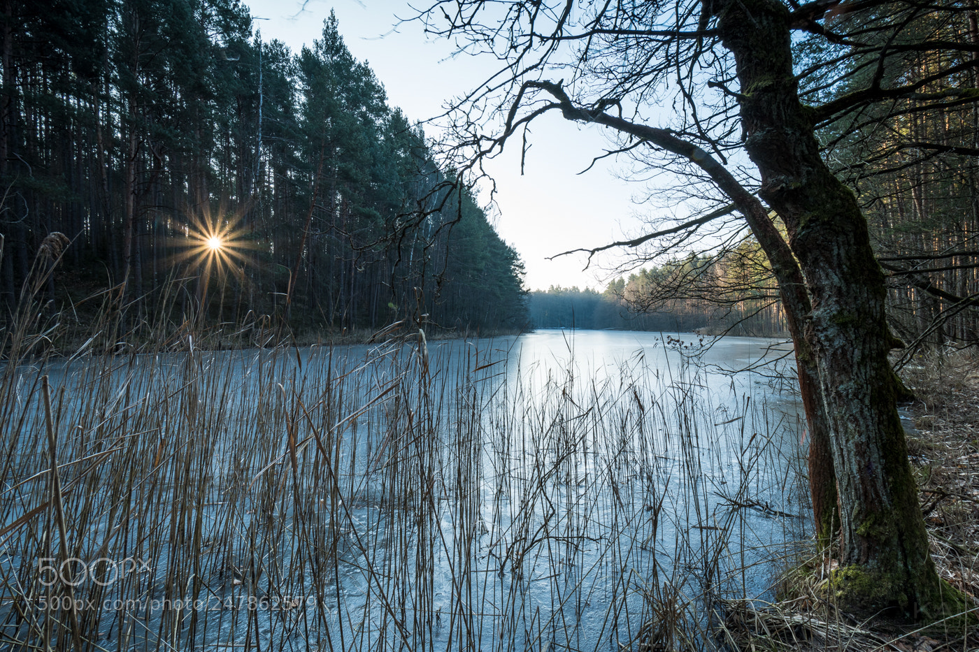 Nikon D500 sample photo. Cold morning photography