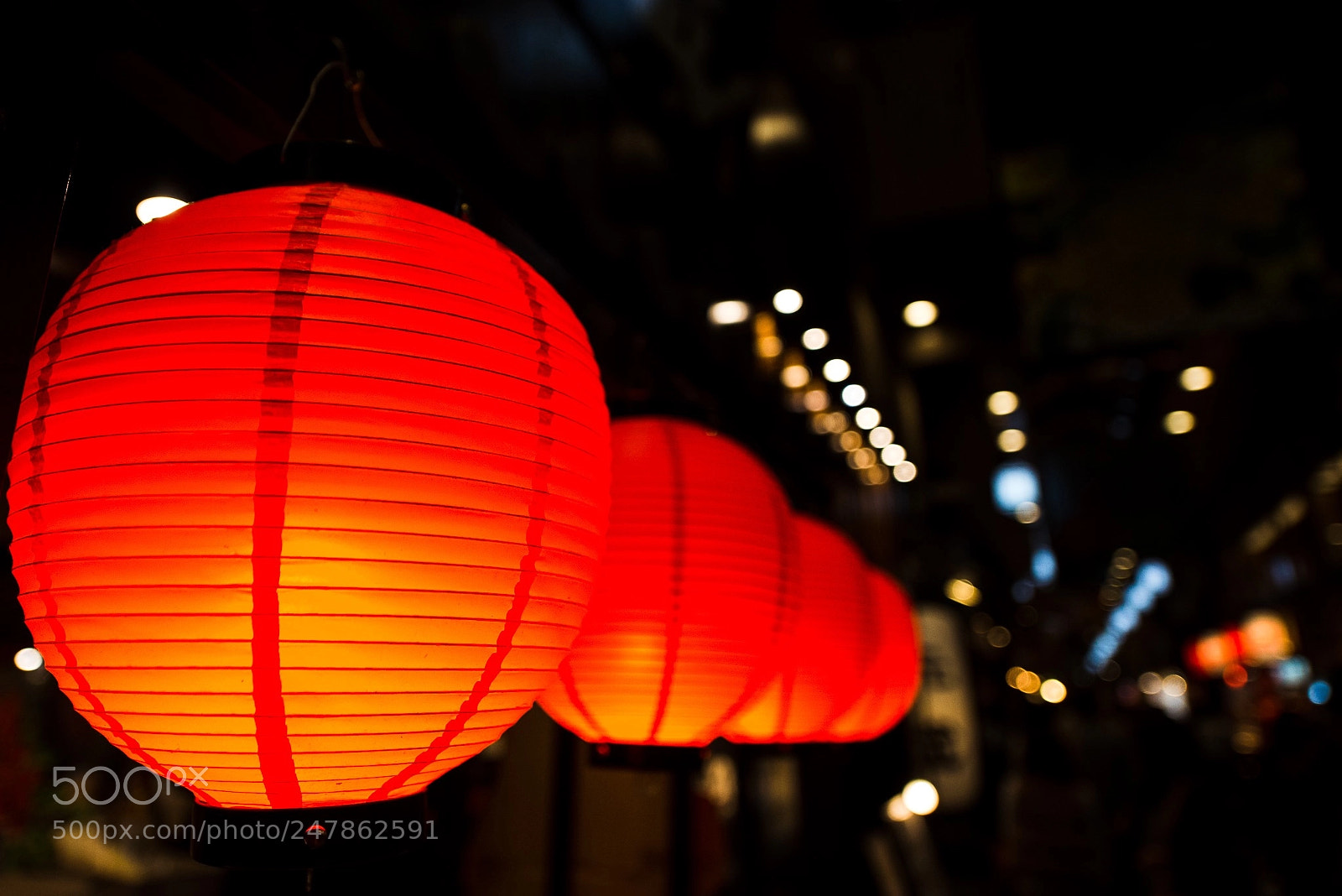 Nikon D800 sample photo. Untitled photography