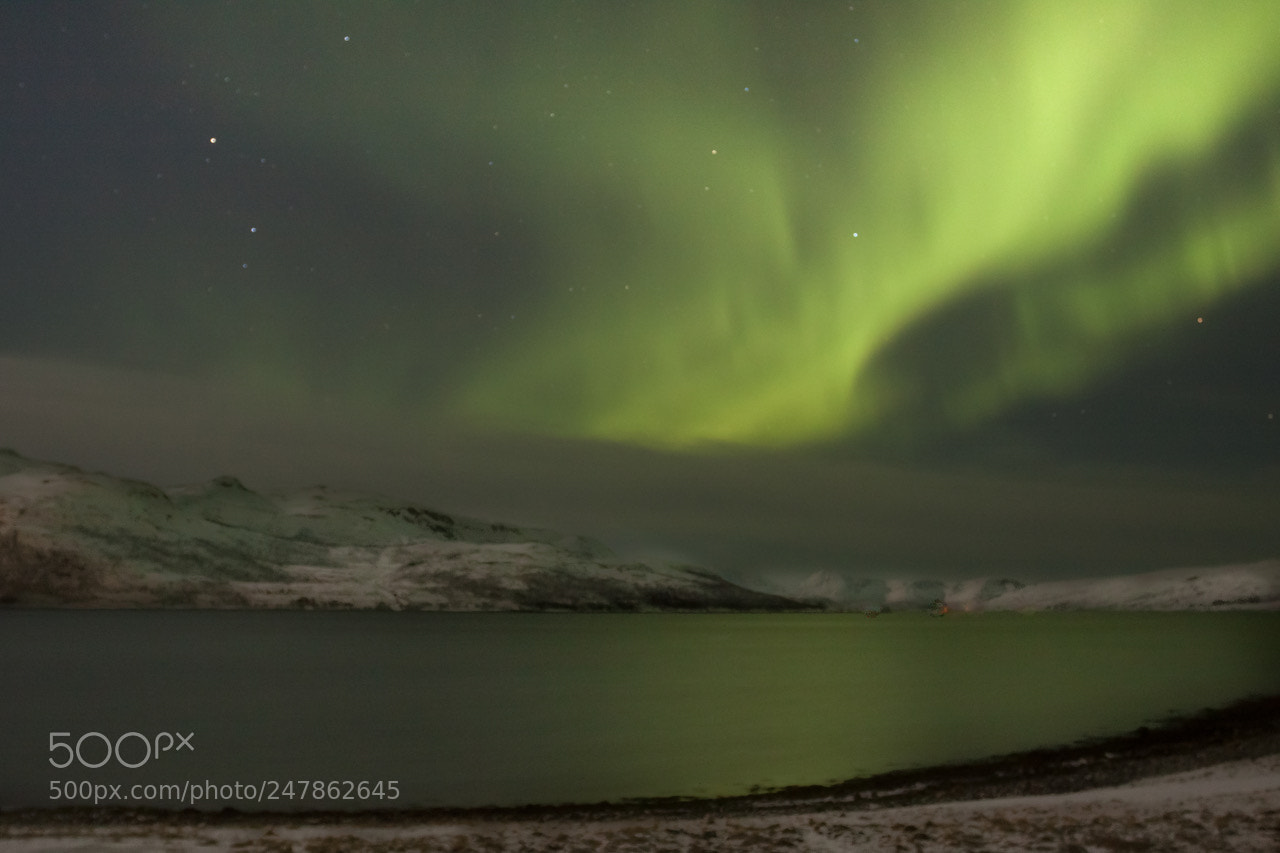 Canon EOS 50D sample photo. Northern lights 1 photography