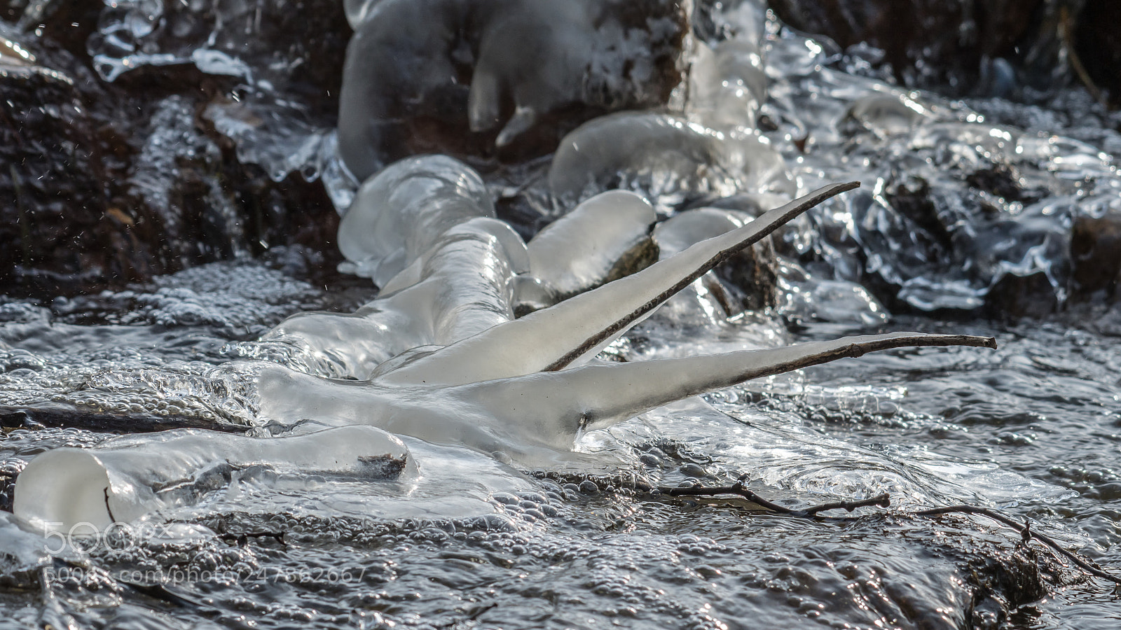 Nikon D500 sample photo. Ice cold photography