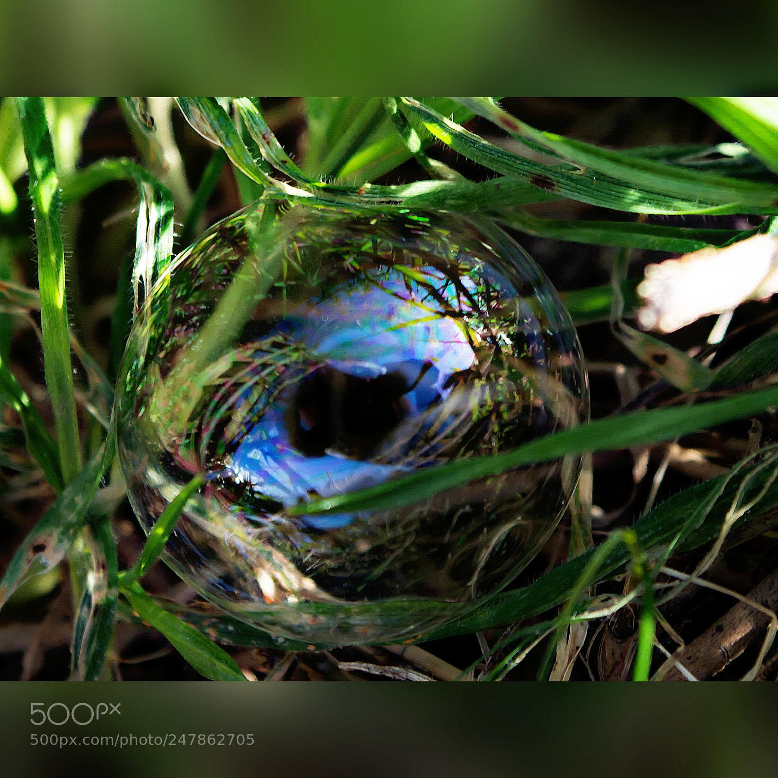 Nikon D5200 sample photo. Seifenblasen photography