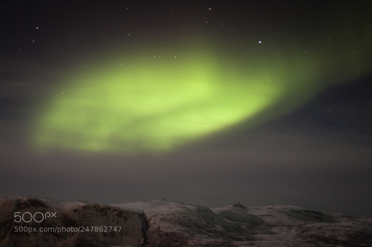 Canon EOS 50D sample photo. Northern lights 2 photography